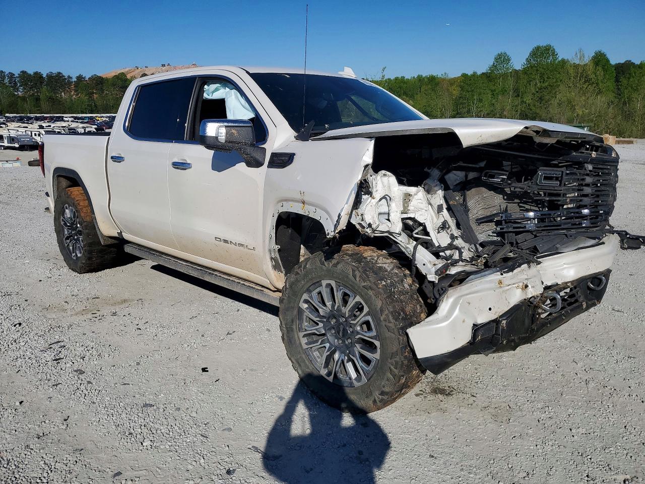 Denali Before Repair